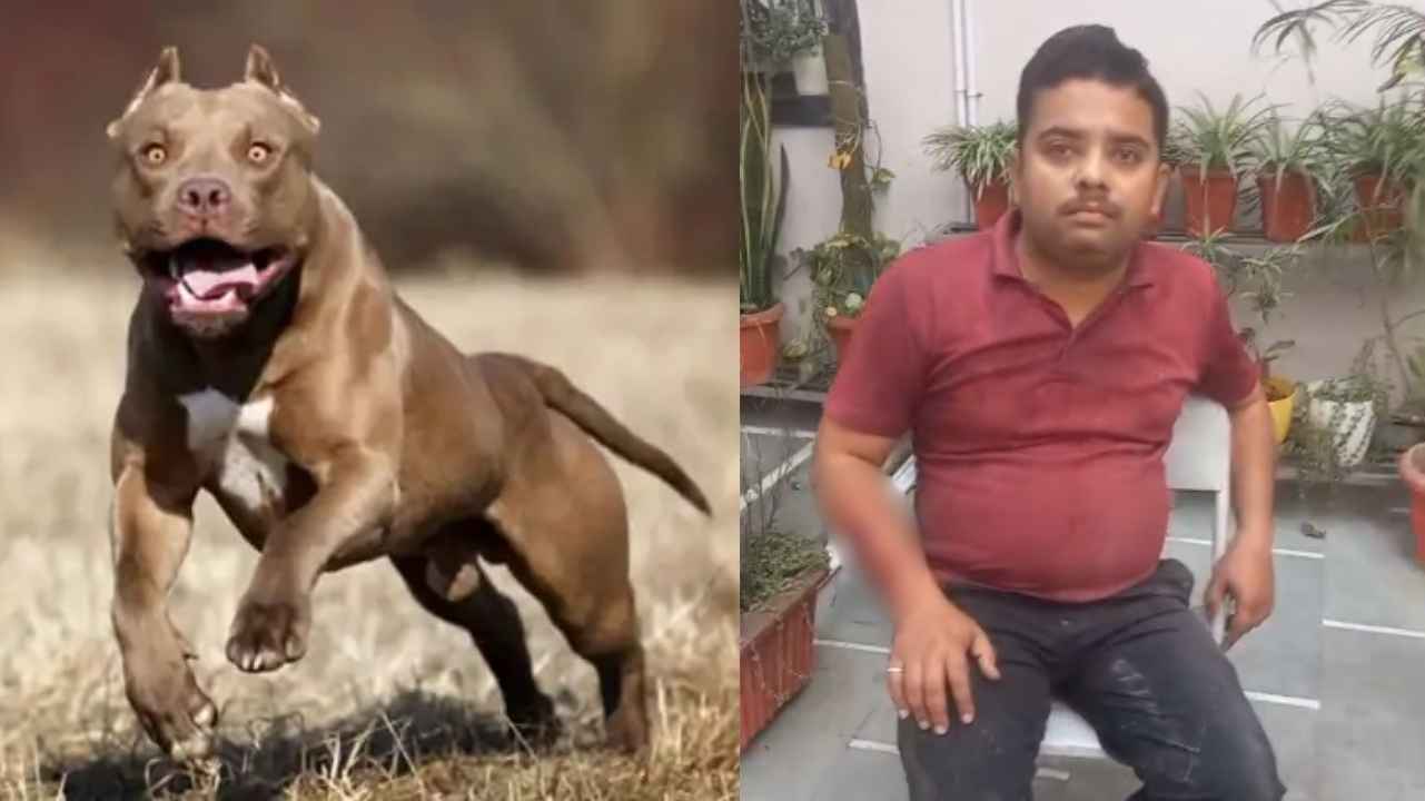 Raipur