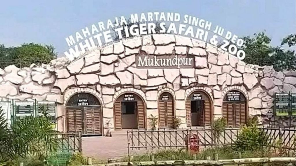 White Tiger Safari
