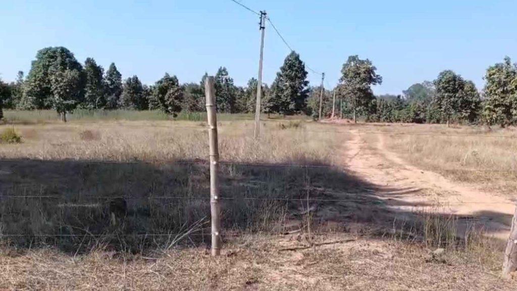 ambikapur_land