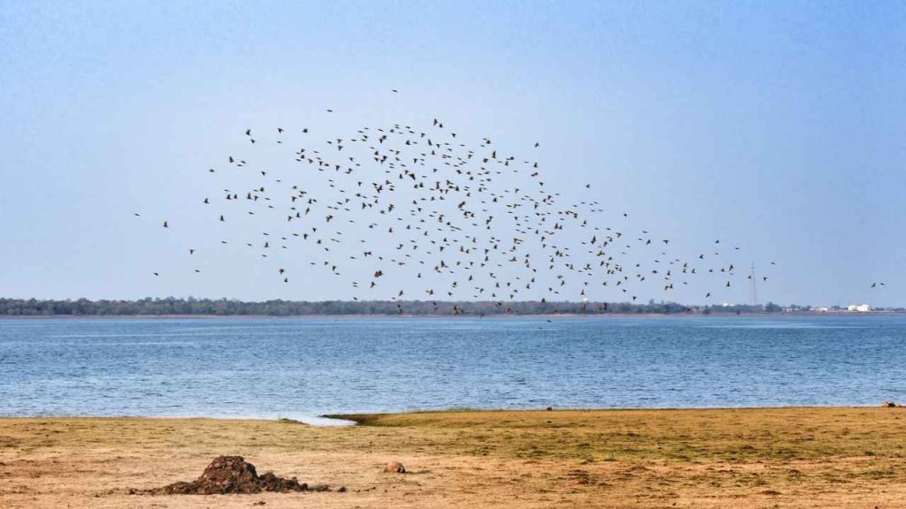 tandula_dam_3