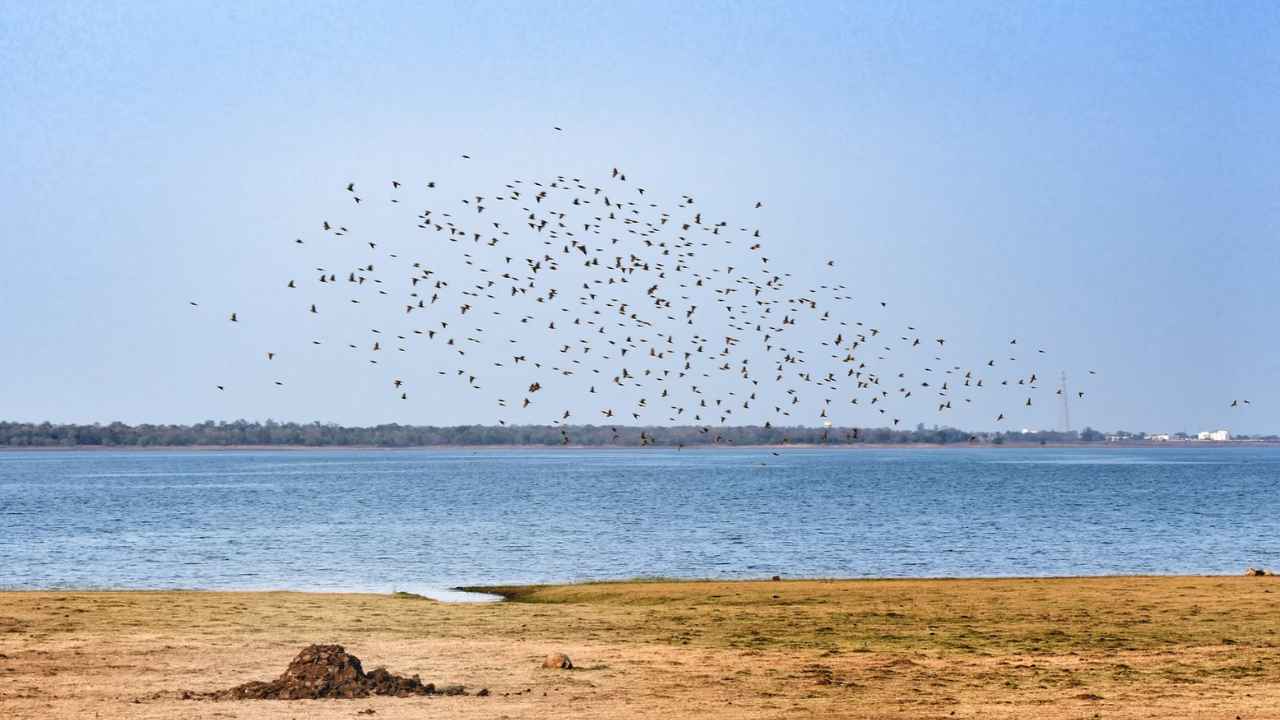 tandula_dam_3