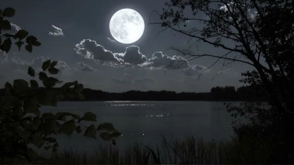 Falgun Purnima 2026
