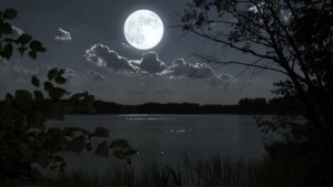 Falgun Purnima 2026