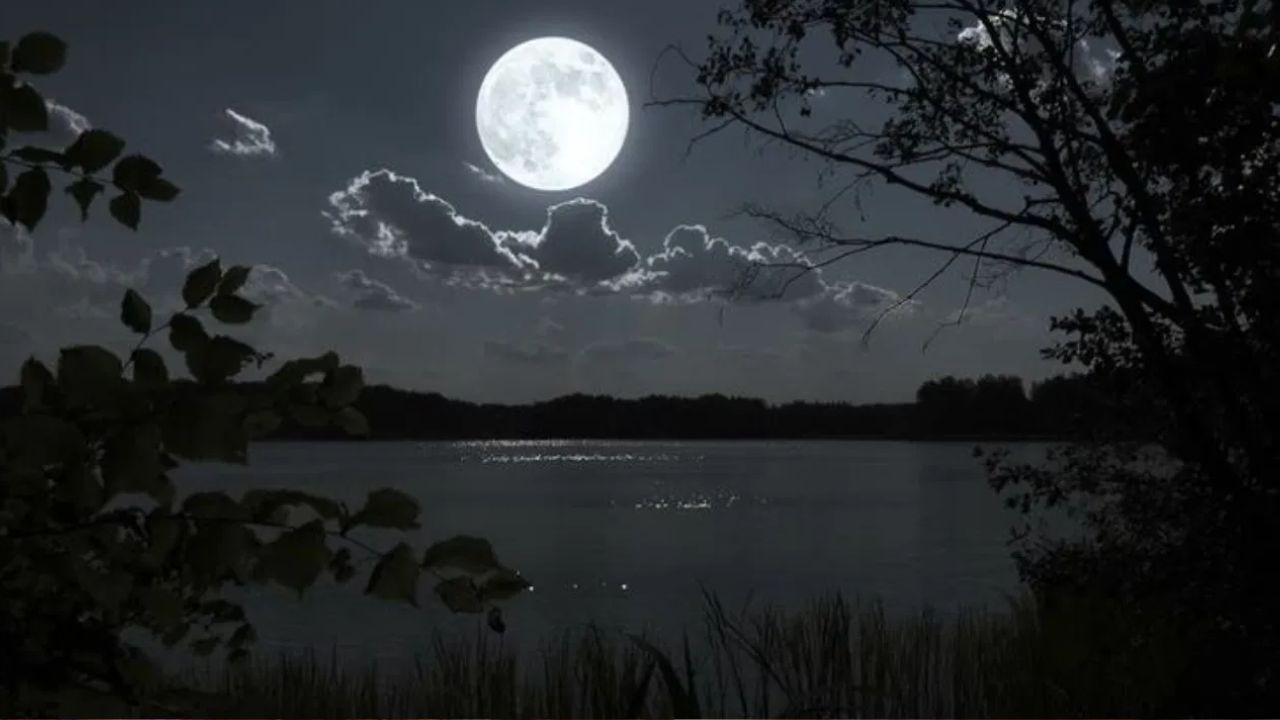Falgun Purnima 2026