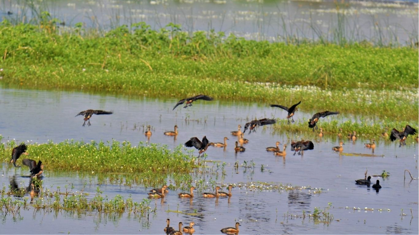 Indore Sirpur Lake
