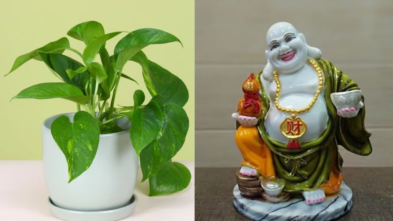 Vastu Tips