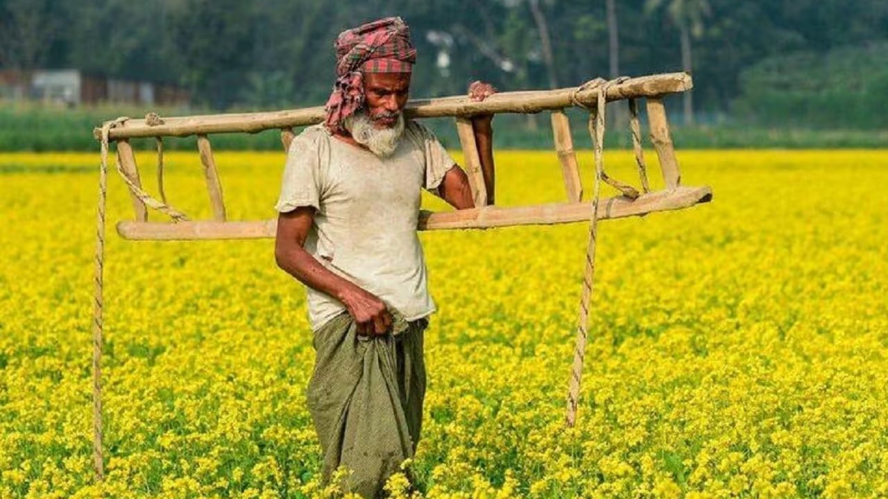 Farmer