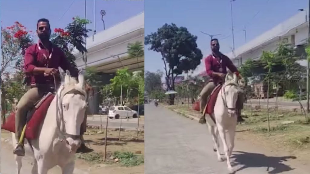 A young man arrived at the office riding a horse