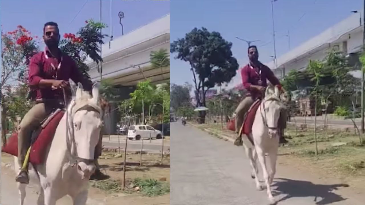 A young man arrived at the office riding a horse