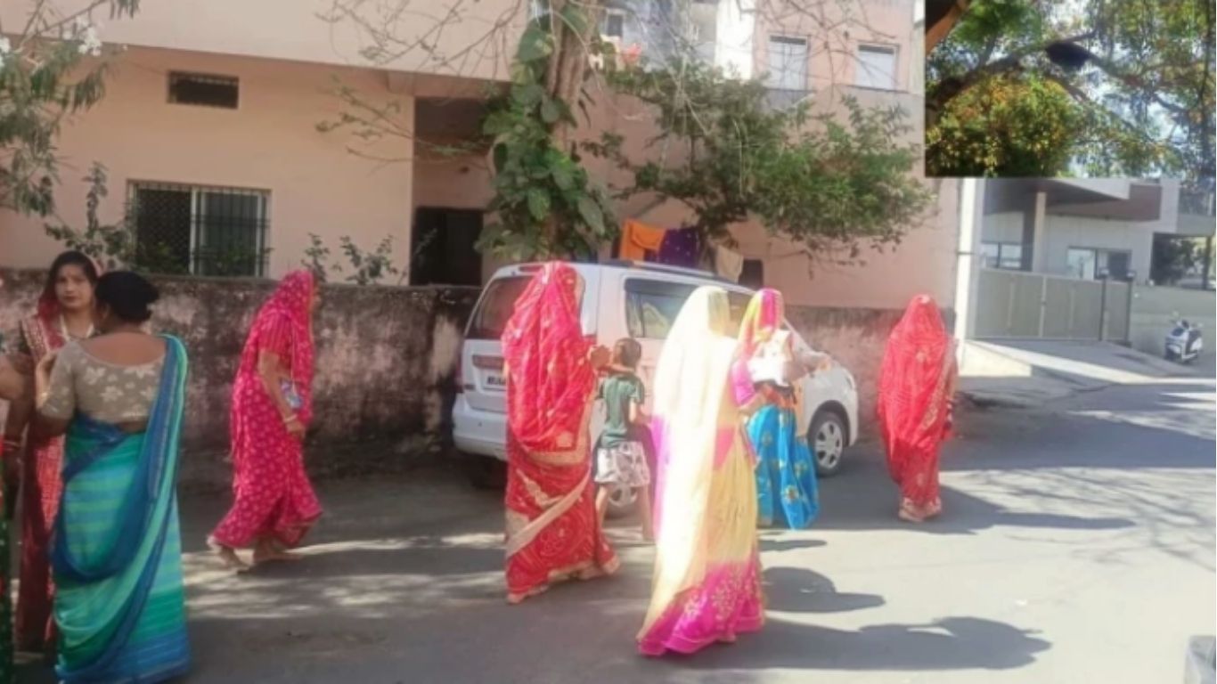 Bee Attack During Dasha Mata Puja in Mandsaur