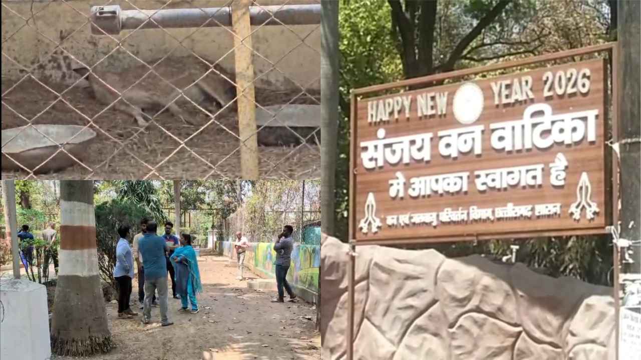 Ambikapur News
