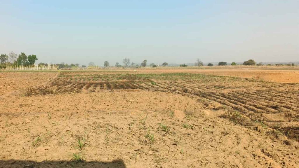 Balrampur
