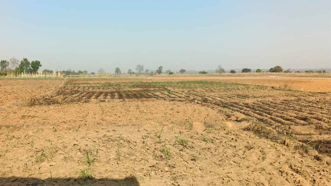 Balrampur