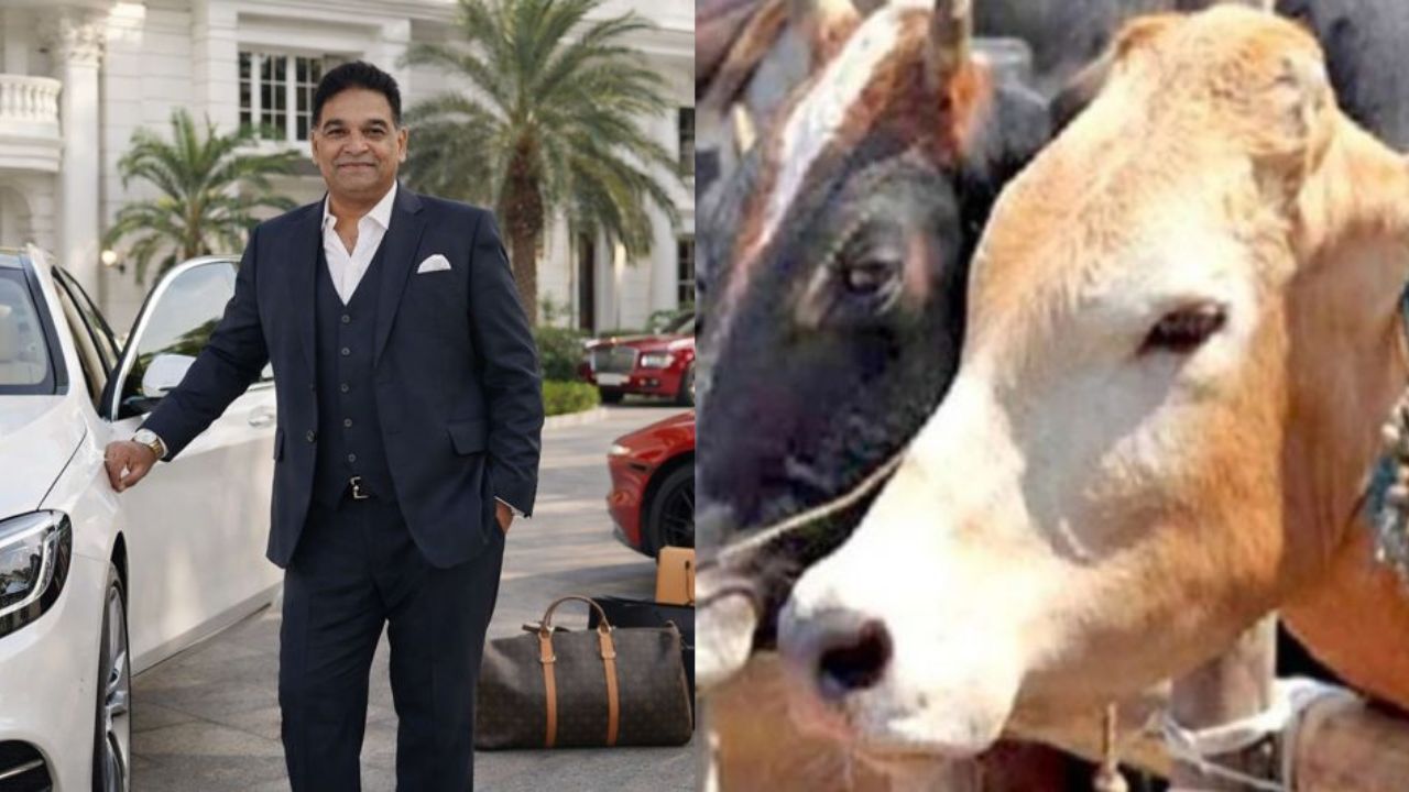 Aslam Qureshi's bail plea rejected in beef smuggling case.