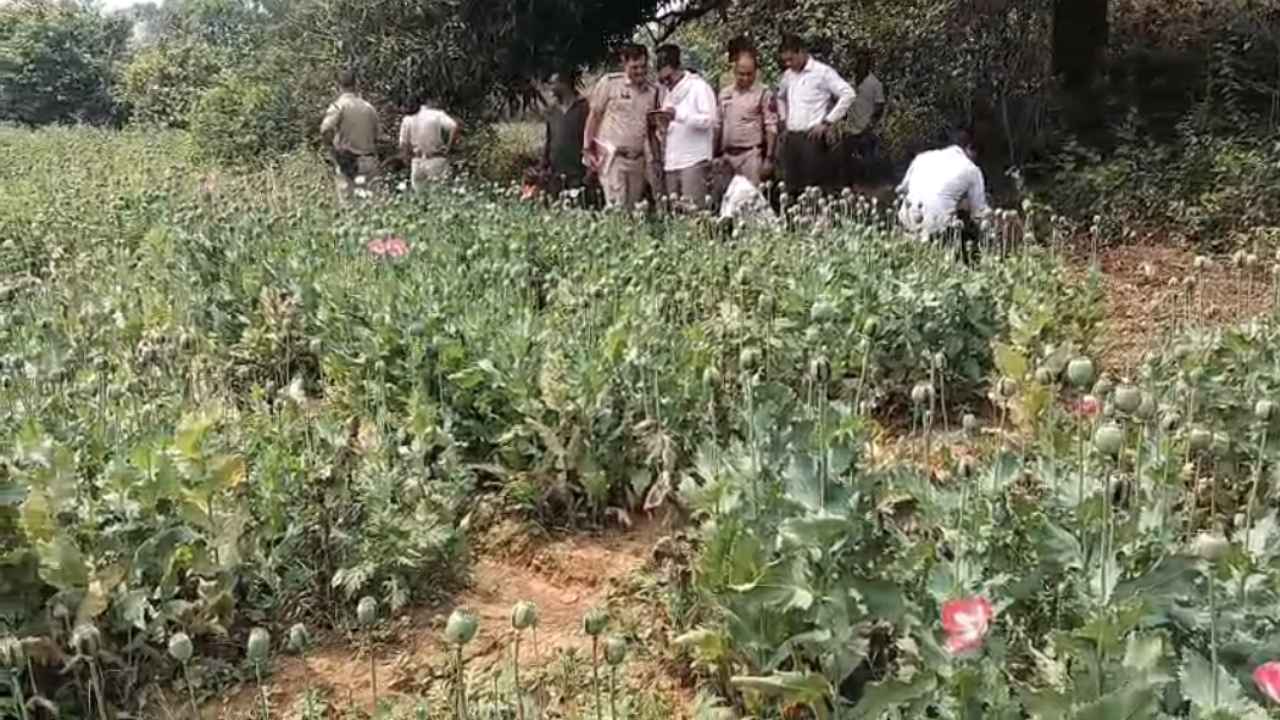 Raigarh