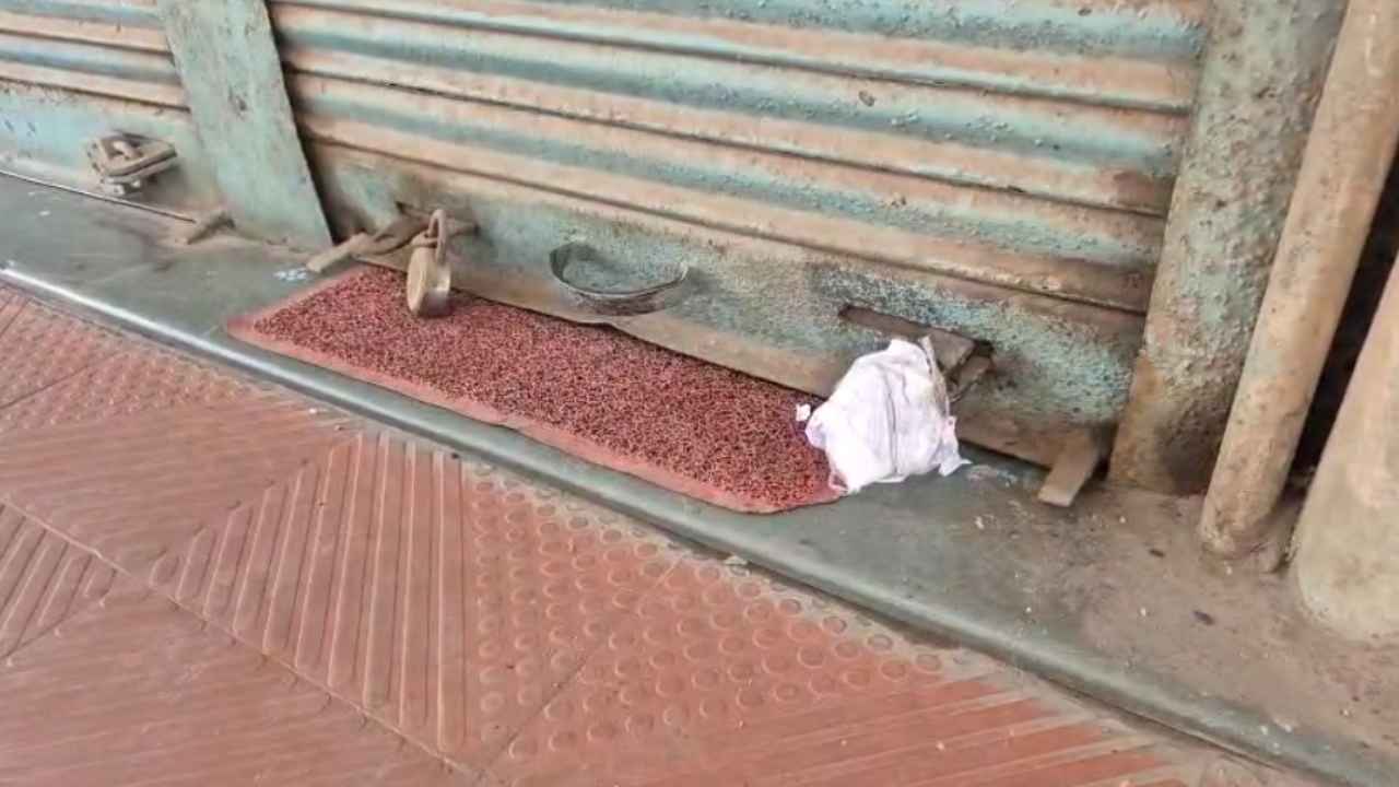 GST Raid in Raipur