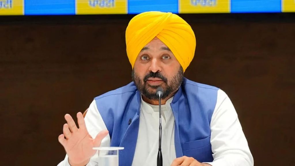 Punjab Chief Minister Bhagwant Mann (File Photo)