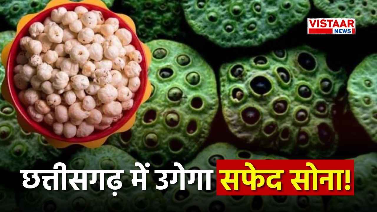 White Gold in Chhattisgarh