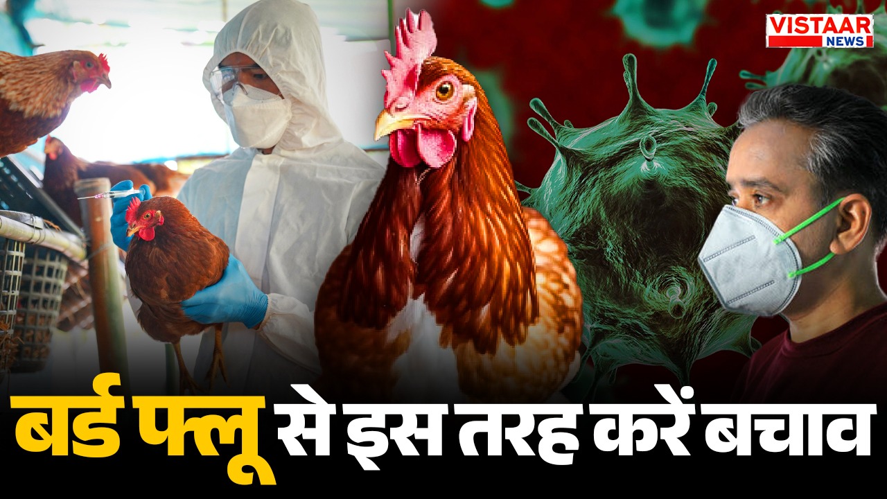 bird flu how to infect human symptoms and prevention all details
