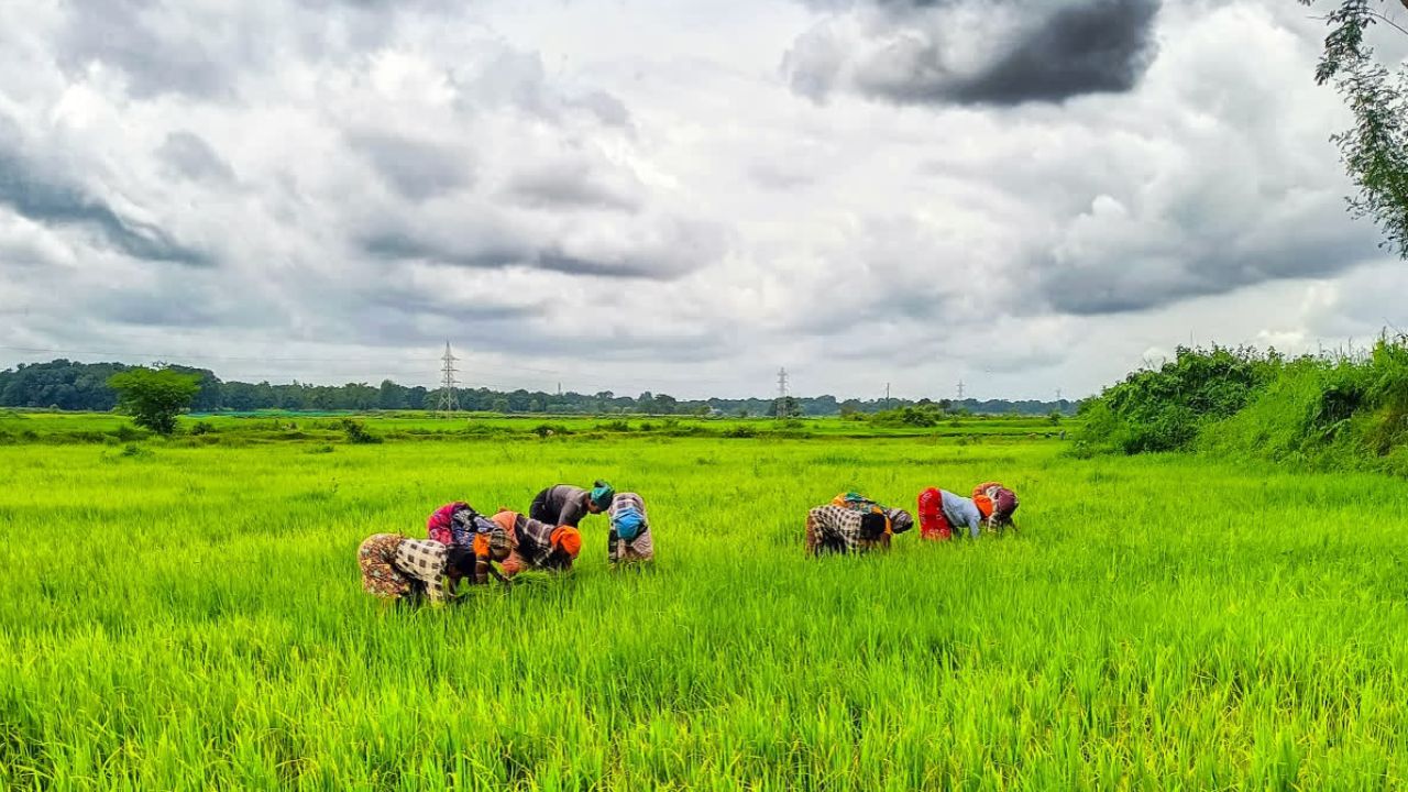Krishi Sakhi scheme