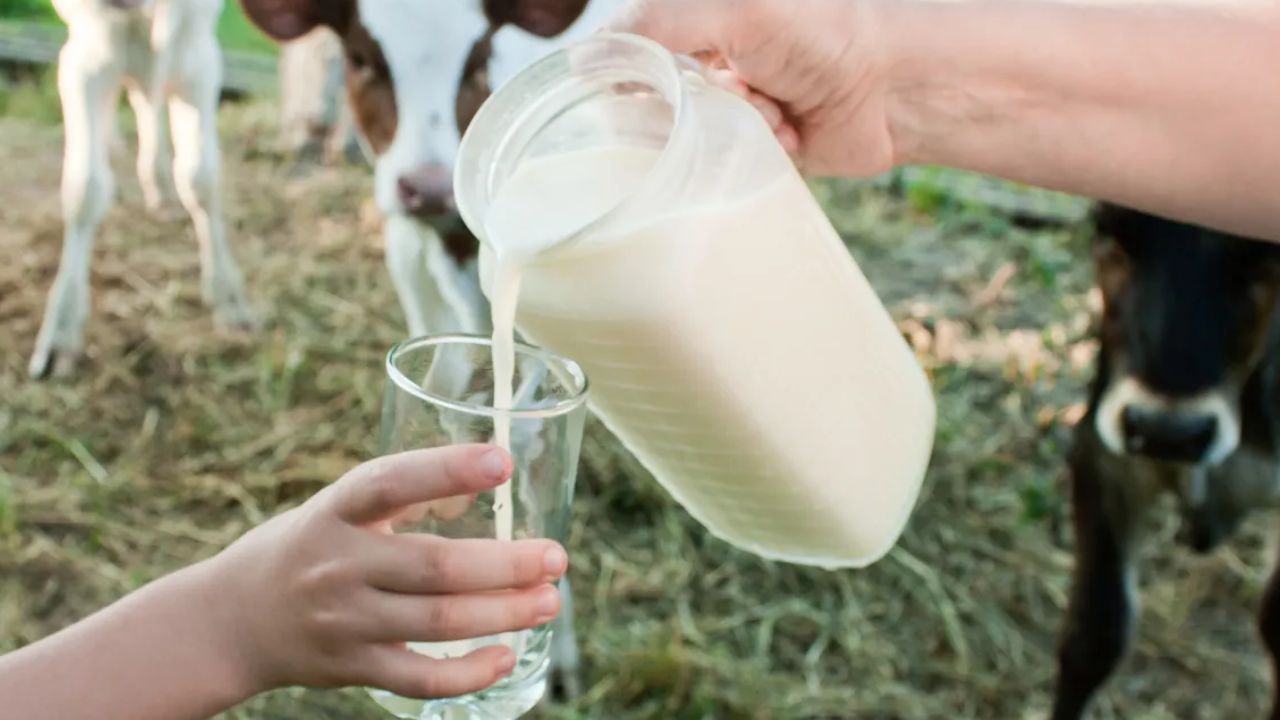 mp milk rate hike