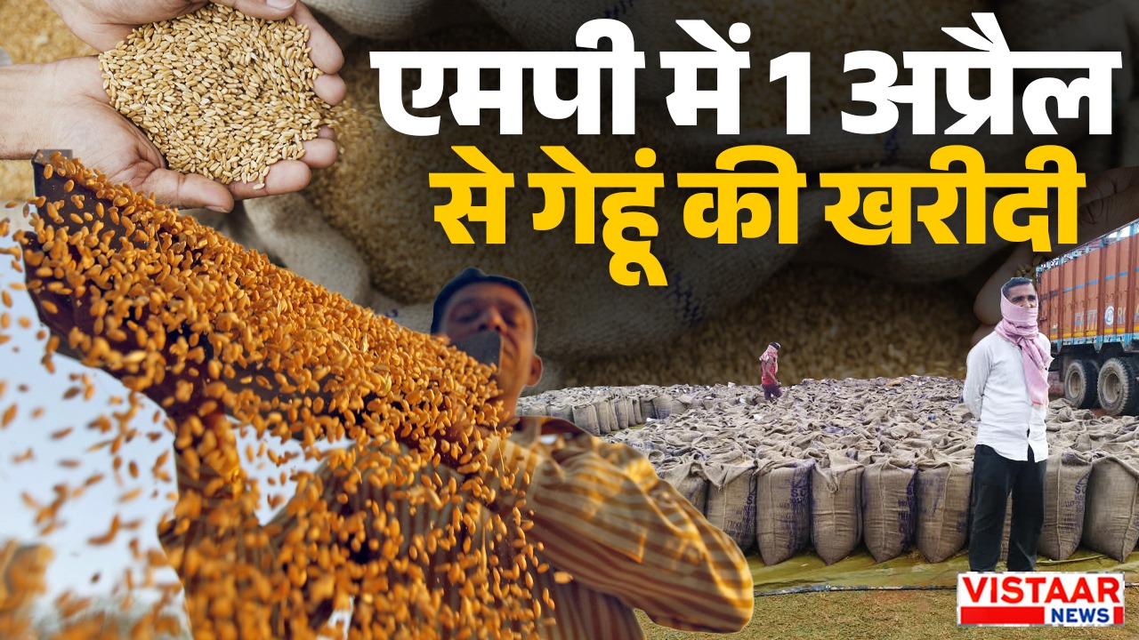 madhya pradesh wheat procurement