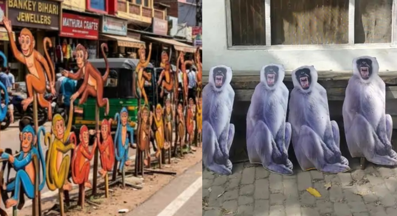 बंदरों के कटआउट