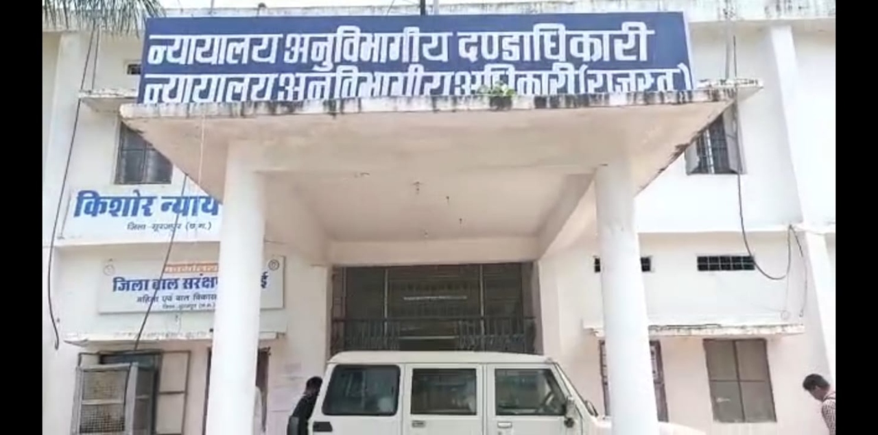 सरगुजा संभाग में खुलेआम लकड़ी तस्करी