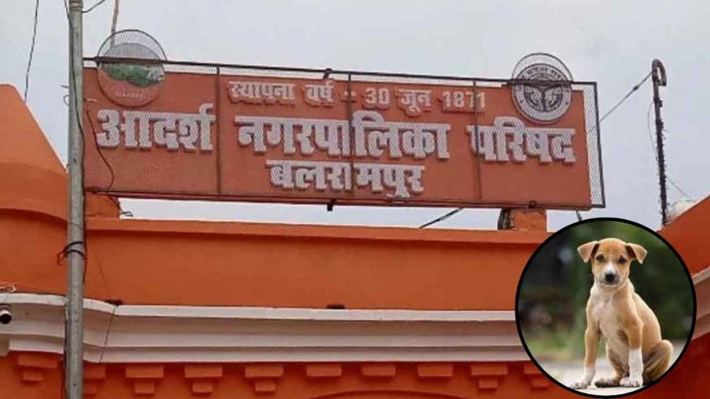 Ambikapur News