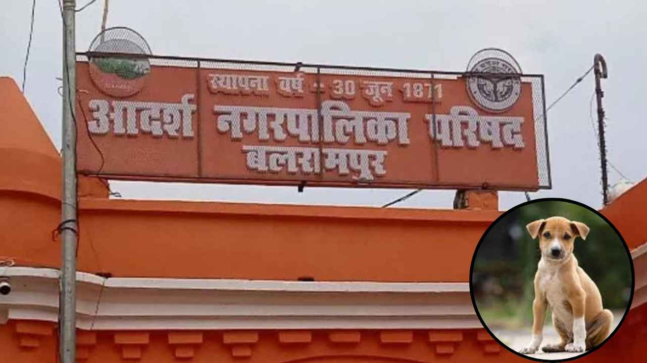 Ambikapur News