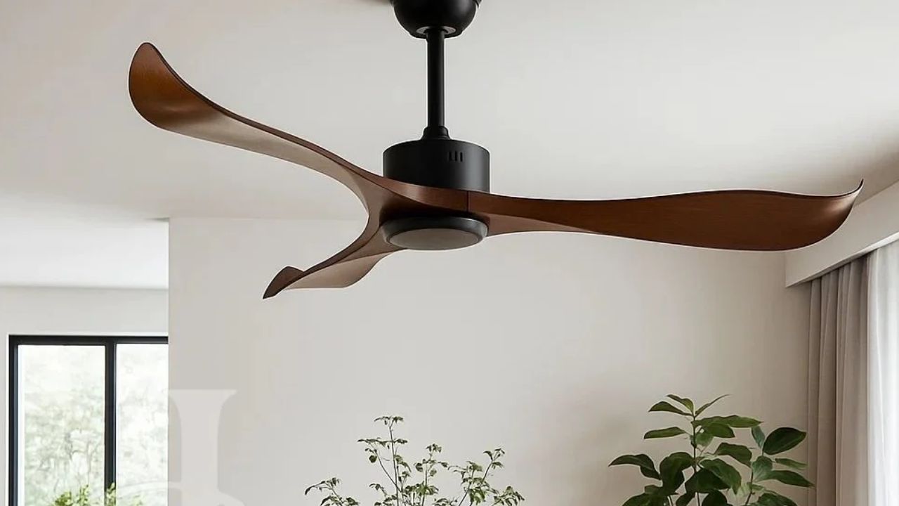 Ceiling Fans