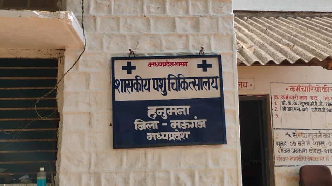 Government Veterinary Hospital Mauganj