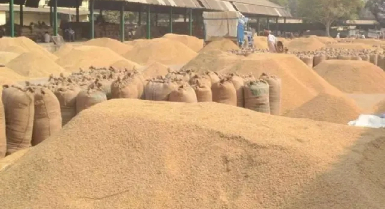 Madhya-Pradesh-Wheat-Procurement