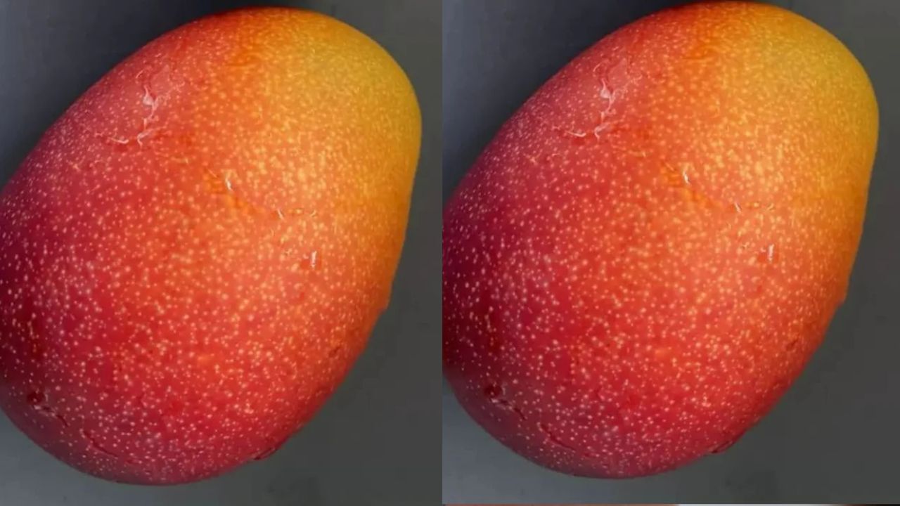 Miyazaki Mango