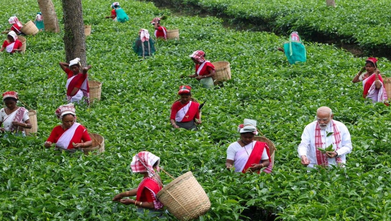 PM Modi in a tea garden