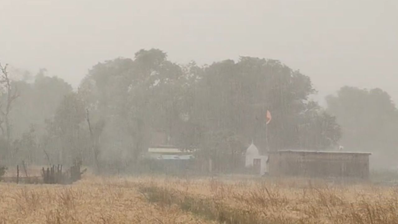 farmers worried due to rain