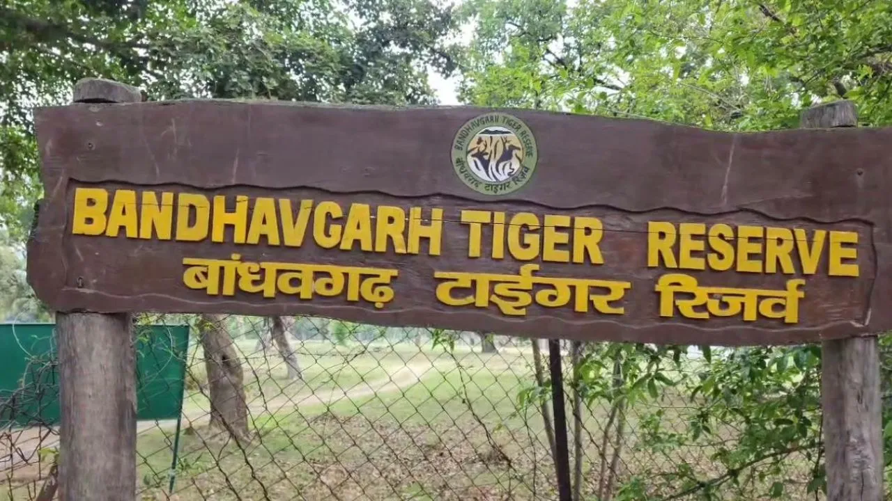 Bandhavgarh Tiger Reserve