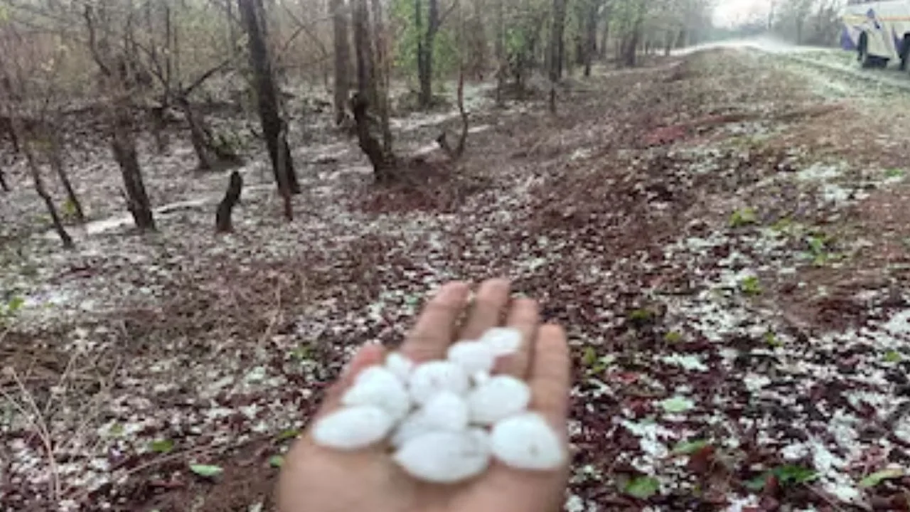 Hail falls in Gariaband.