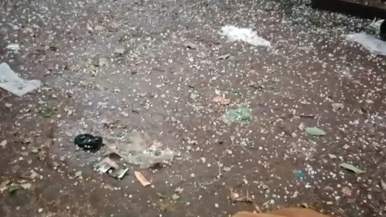 There was also hailstorm along with rain in Morena.