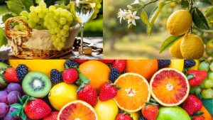 fruits