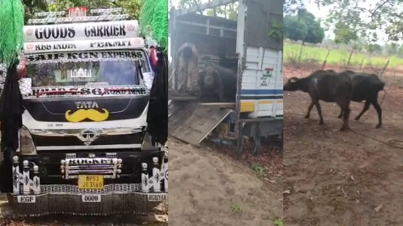 Shahdol Animal Smuggling Police Arrested Two Accused