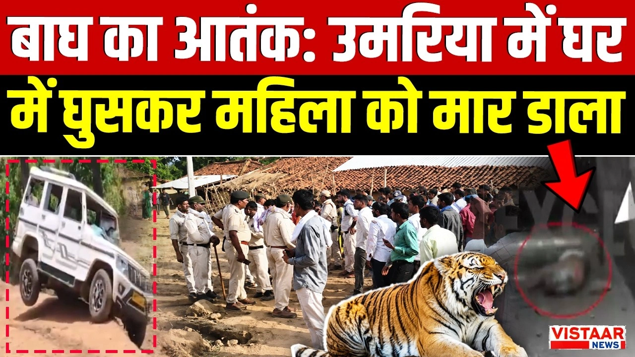 Vistaar News