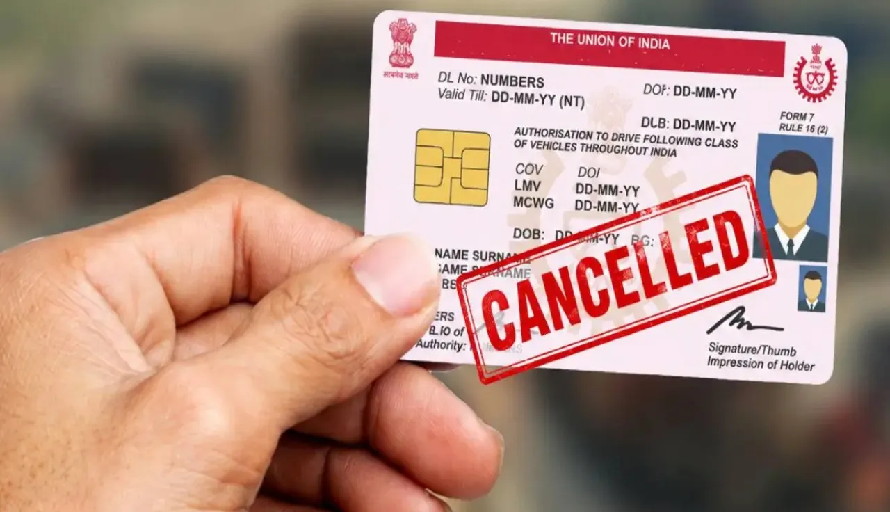 driving licences