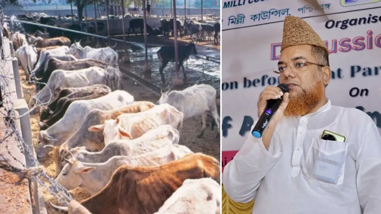 मौलाना मोहम्मद शफीक काजमी की समाज से अपील