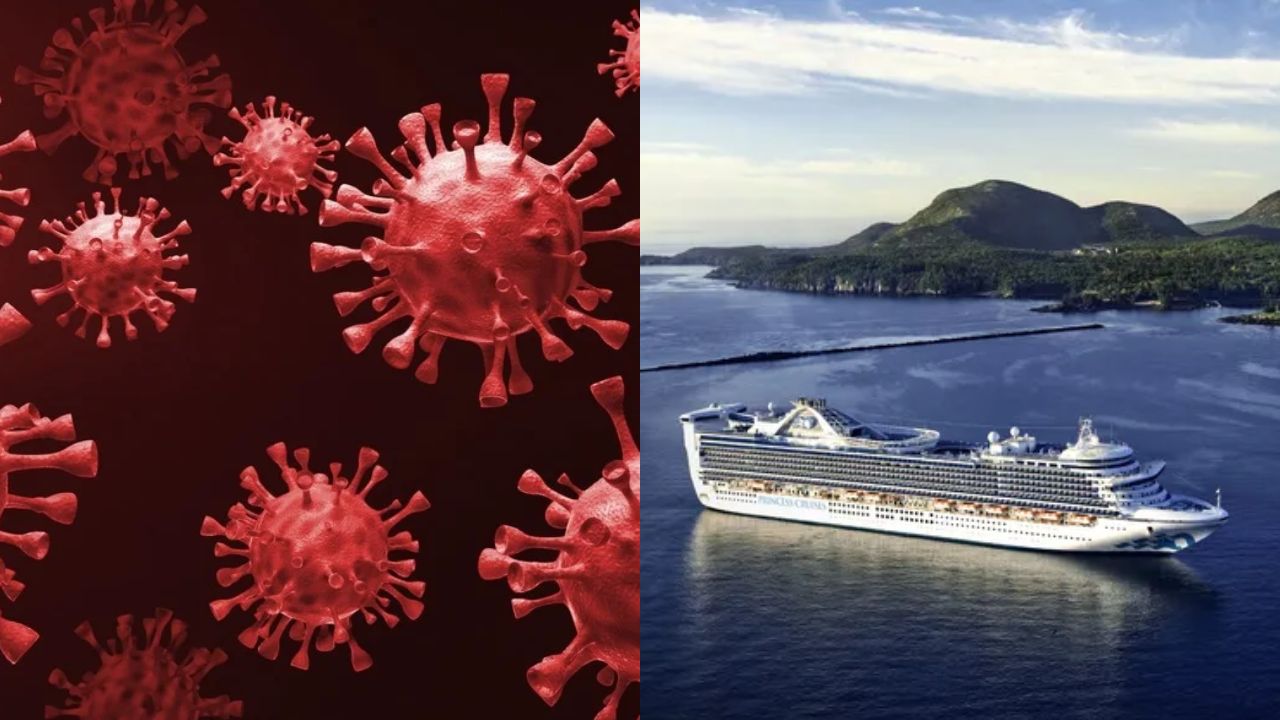 Norovirus