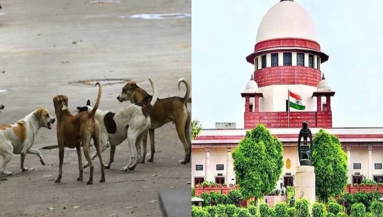 Supreme Court Stray Dogs Order