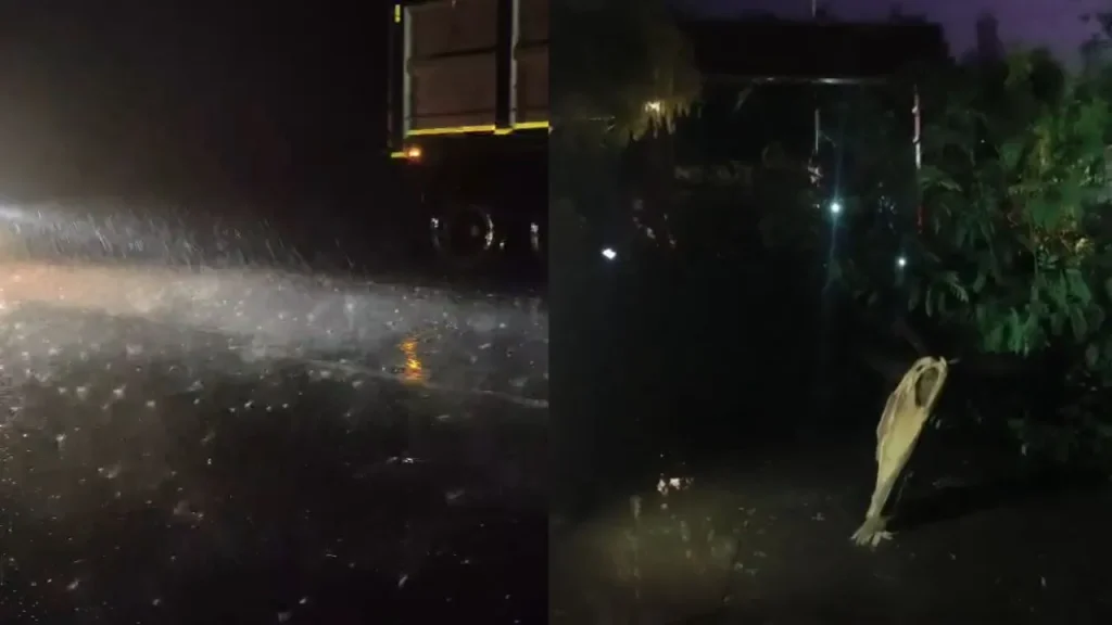 There was a lot of damage due to storm and rain in many districts of MP on Friday night.
