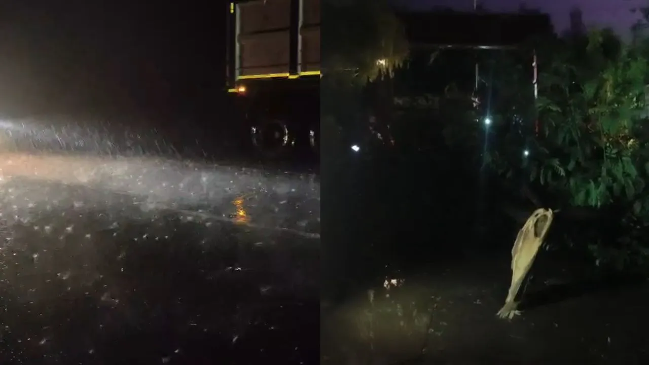 There was a lot of damage due to storm and rain in many districts of MP on Friday night.