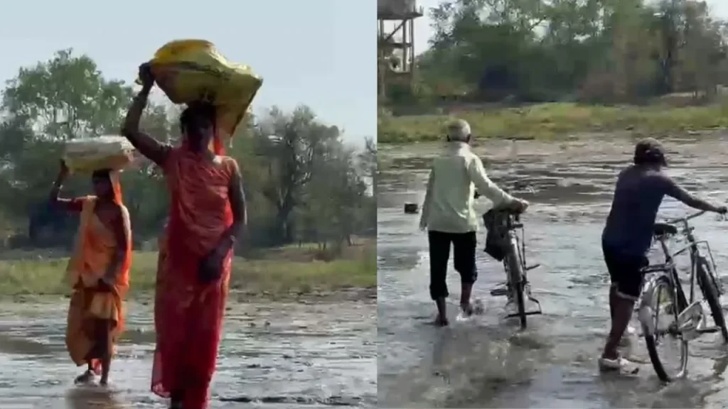 Due to lack of bridge construction in Singrauli, one has to travel 15 kilometers to cross the river.