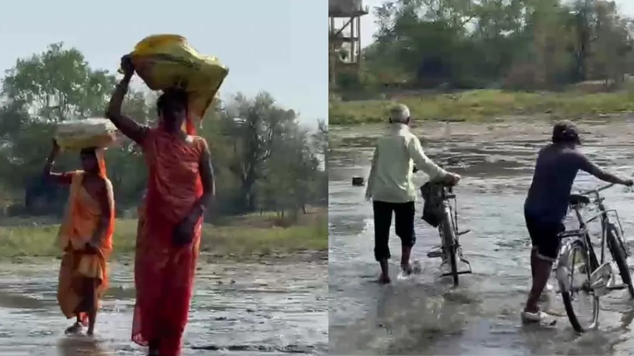 Due to lack of bridge construction in Singrauli, one has to travel 15 kilometers to cross the river.